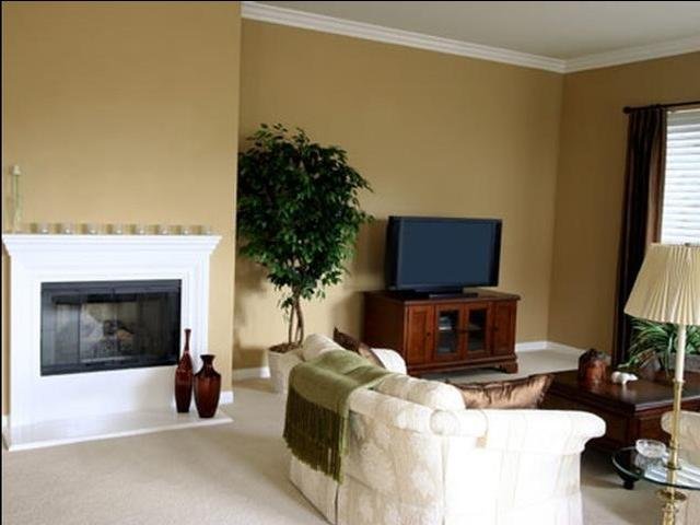 Property Tour Photo 11