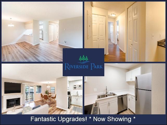 Tarragon Property Services