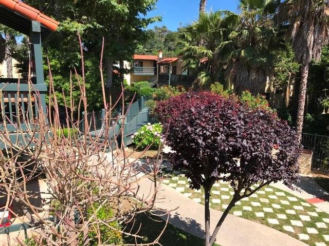 Gated Court Yard, Tropical Plants