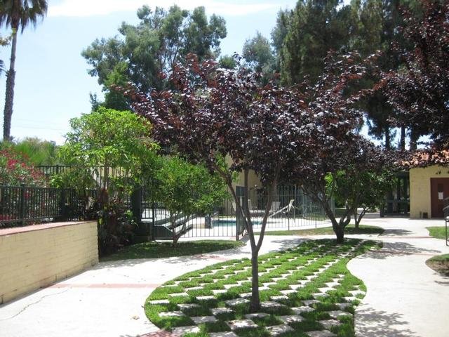 Beautiful Gated Community