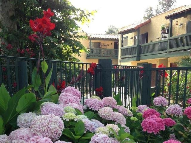 Great landscaping with colorful flowers