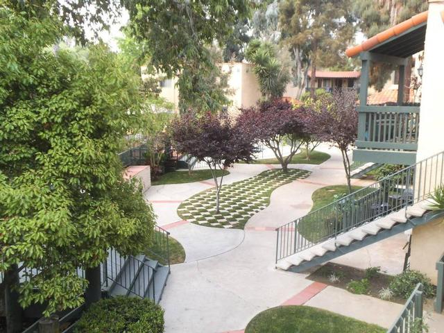 Court Yard View