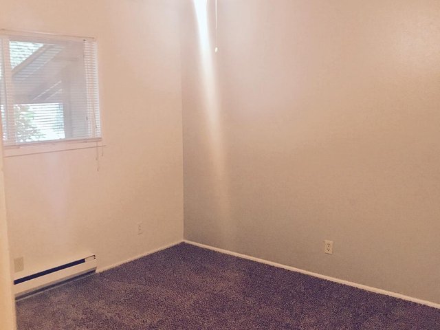 Property Tour Photo 38